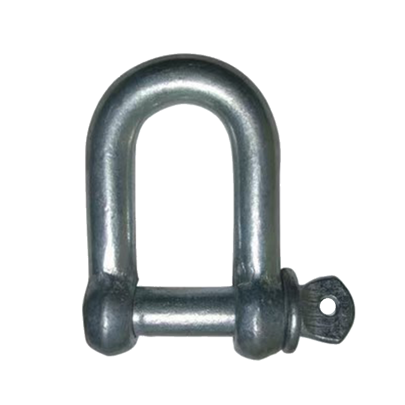 G210 American Type D-Shaped Die Forged Shackle (316)